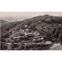 Rare collectable postcards of ALGERIA Algérie Belgique België. Vintage Postcards of ALGERIA Algérie Belgique België