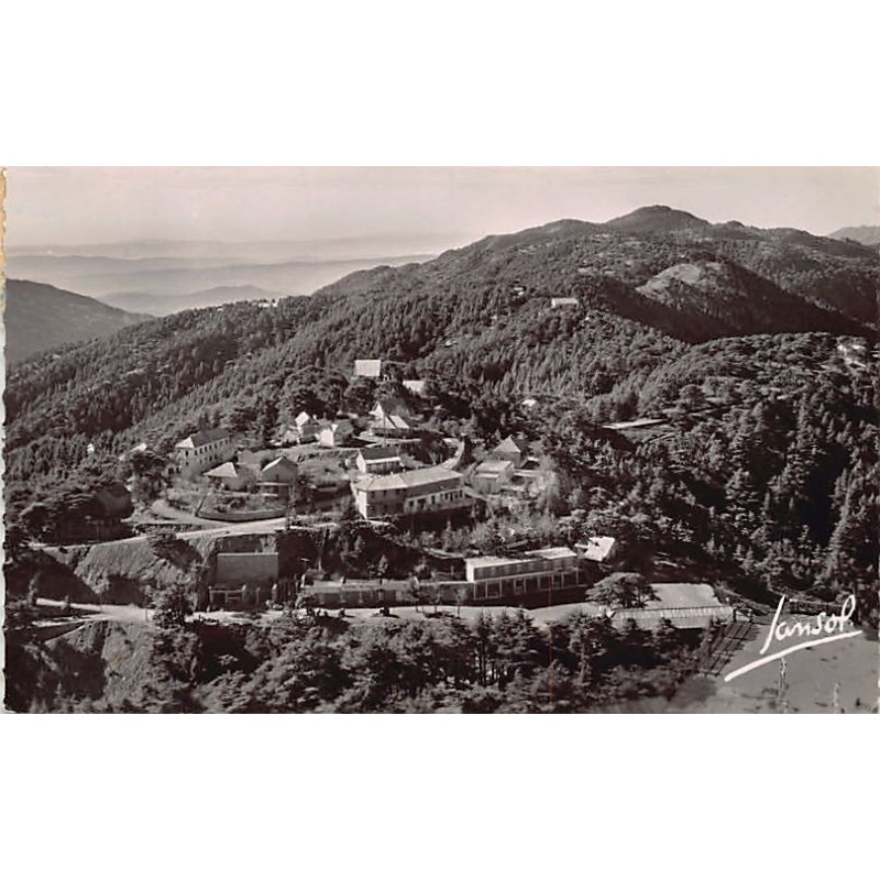 Rare collectable postcards of ALGERIA Algérie Belgique België. Vintage Postcards of ALGERIA Algérie Belgique België