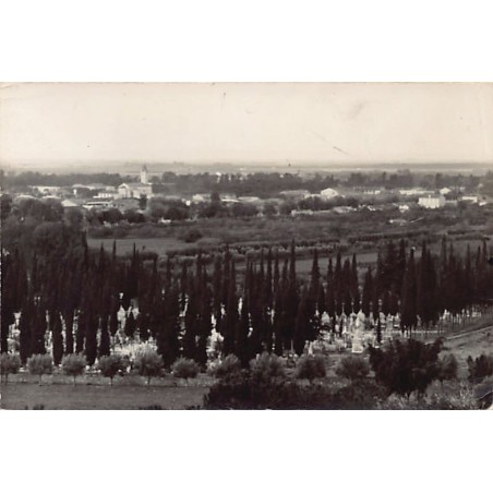 Rare collectable postcards of ALGERIA Algérie Belgique België. Vintage Postcards of ALGERIA Algérie Belgique België