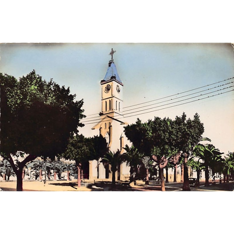 Rare collectable postcards of ALGERIA Algérie Belgique België. Vintage Postcards of ALGERIA Algérie Belgique België