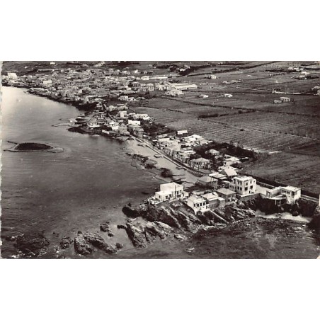 Rare collectable postcards of ALGERIA Algérie Belgique België. Vintage Postcards of ALGERIA Algérie Belgique België