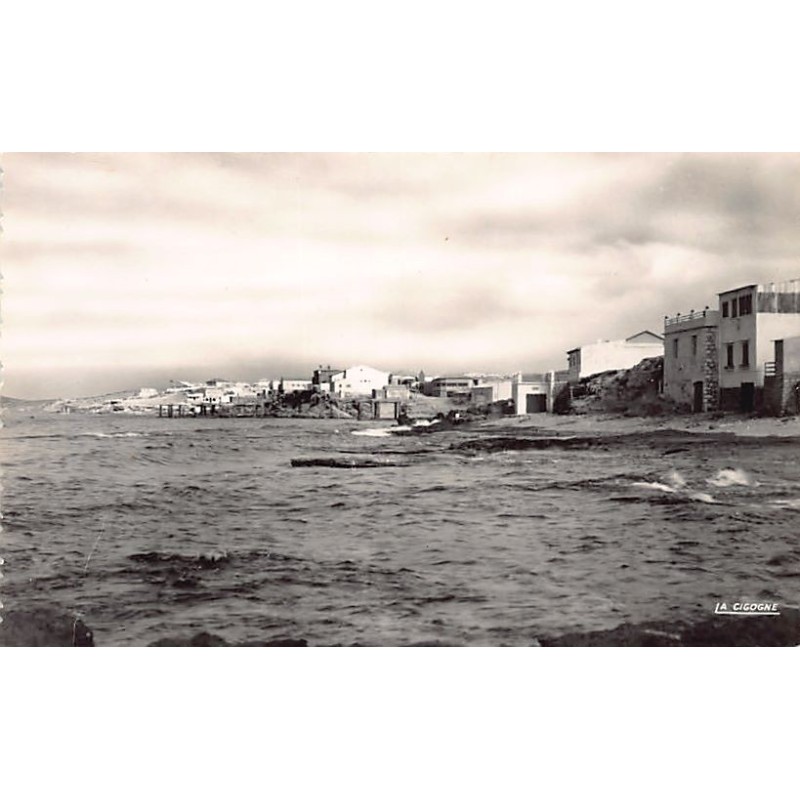 Rare collectable postcards of ALGERIA Algérie Belgique België. Vintage Postcards of ALGERIA Algérie Belgique België