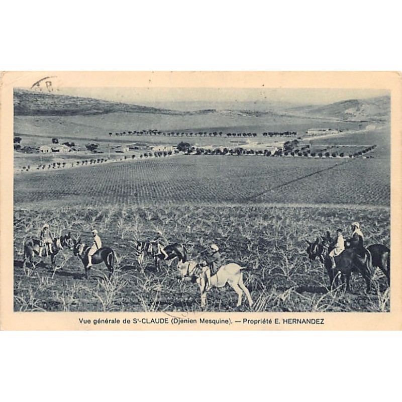 Rare collectable postcards of ALGERIA Algérie Belgique België. Vintage Postcards of ALGERIA Algérie Belgique België