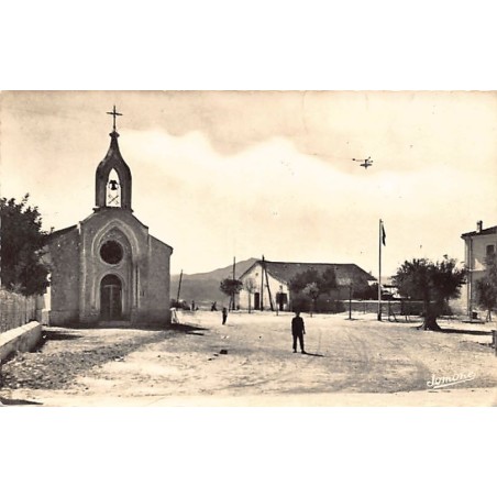 Rare collectable postcards of ALGERIA Algérie Belgique België. Vintage Postcards of ALGERIA Algérie Belgique België