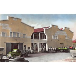 Rare collectable postcards of ALGERIA Algérie Belgique België. Vintage Postcards of ALGERIA Algérie Belgique België