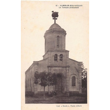 Rare collectable postcards of ALGERIA Algérie Belgique België. Vintage Postcards of ALGERIA Algérie Belgique België