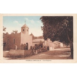 Rare collectable postcards of ALGERIA Algérie Belgique België. Vintage Postcards of ALGERIA Algérie Belgique België