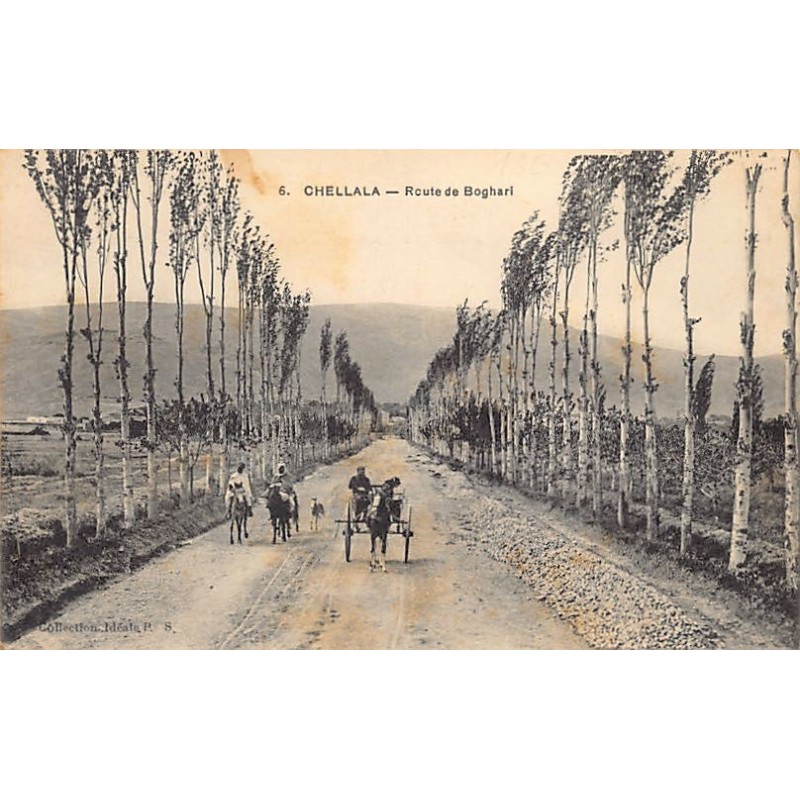 Rare collectable postcards of ALGERIA Algérie Belgique België. Vintage Postcards of ALGERIA Algérie Belgique België