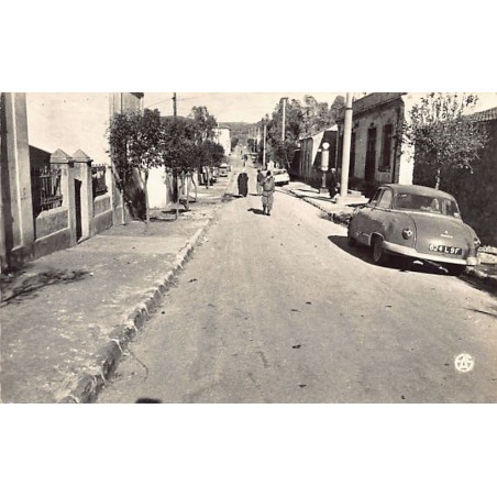 Rare collectable postcards of ALGERIA Algérie Belgique België. Vintage Postcards of ALGERIA Algérie Belgique België