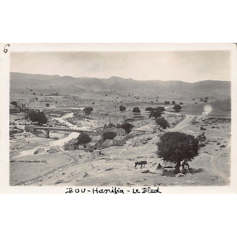 Rare collectable postcards of ALGERIA Algérie Belgique België. Vintage Postcards of ALGERIA Algérie Belgique België