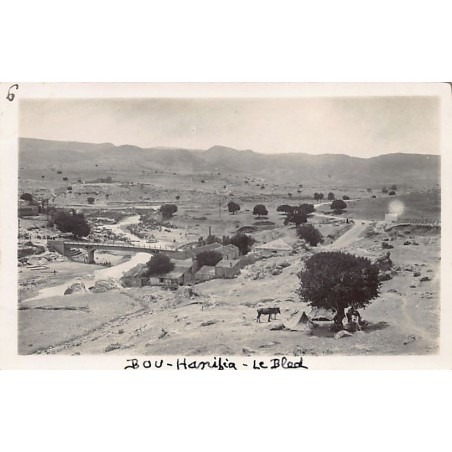 Rare collectable postcards of ALGERIA Algérie Belgique België. Vintage Postcards of ALGERIA Algérie Belgique België