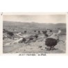 Rare collectable postcards of ALGERIA Algérie Belgique België. Vintage Postcards of ALGERIA Algérie Belgique België