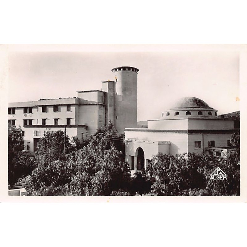 Rare collectable postcards of ALGERIA Algérie Belgique België. Vintage Postcards of ALGERIA Algérie Belgique België