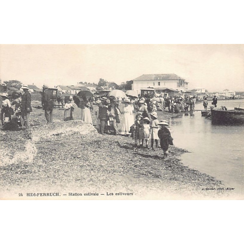 Rare collectable postcards of ALGERIA Algérie Belgique België. Vintage Postcards of ALGERIA Algérie Belgique België