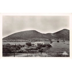 Rare collectable postcards of ALGERIA Algérie Belgique België. Vintage Postcards of ALGERIA Algérie Belgique België