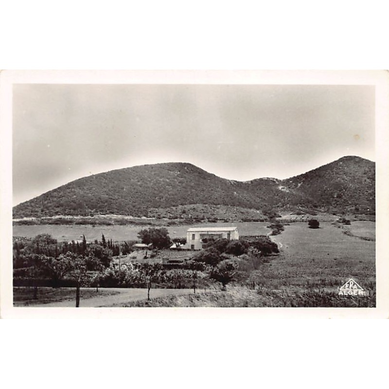 Rare collectable postcards of ALGERIA Algérie Belgique België. Vintage Postcards of ALGERIA Algérie Belgique België