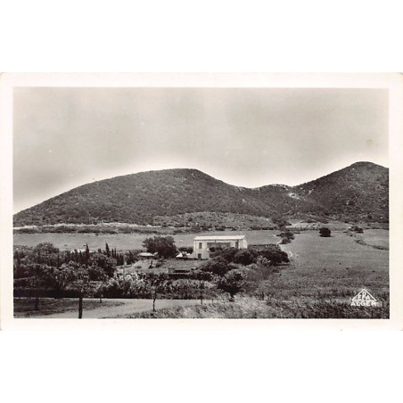 Rare collectable postcards of ALGERIA Algérie Belgique België. Vintage Postcards of ALGERIA Algérie Belgique België