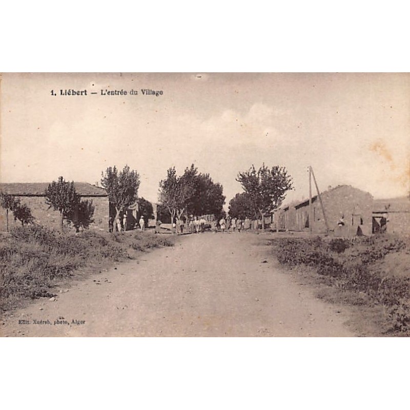 Rare collectable postcards of ALGERIA Algérie Belgique België. Vintage Postcards of ALGERIA Algérie Belgique België