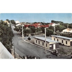 Rare collectable postcards of ALGERIA Algérie Belgique België. Vintage Postcards of ALGERIA Algérie Belgique België