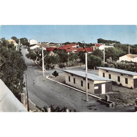 Rare collectable postcards of ALGERIA Algérie Belgique België. Vintage Postcards of ALGERIA Algérie Belgique België