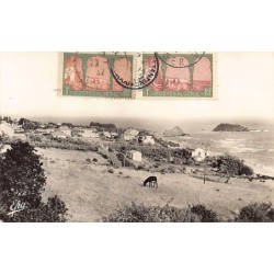 Rare collectable postcards of ALGERIA Algérie Belgique België. Vintage Postcards of ALGERIA Algérie Belgique België