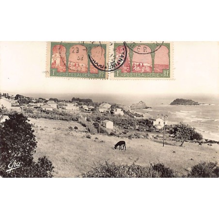 Rare collectable postcards of ALGERIA Algérie Belgique België. Vintage Postcards of ALGERIA Algérie Belgique België