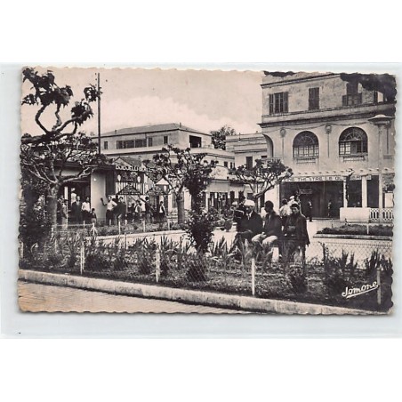 Rare collectable postcards of ALGERIA Algérie Belgique België. Vintage Postcards of ALGERIA Algérie Belgique België