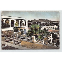 Rare collectable postcards of ALGERIA Algérie Belgique België. Vintage Postcards of ALGERIA Algérie Belgique België