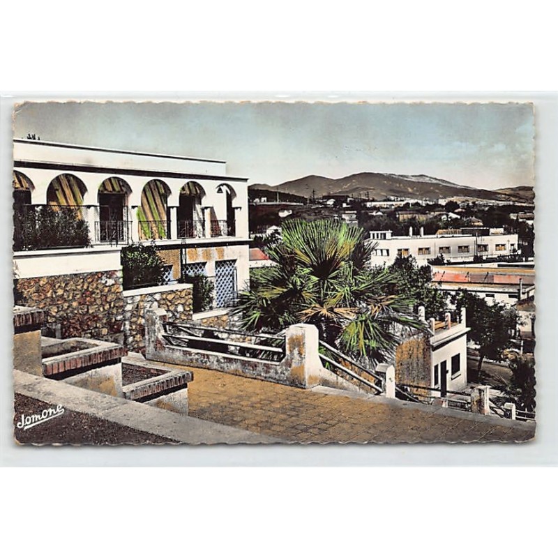Rare collectable postcards of ALGERIA Algérie Belgique België. Vintage Postcards of ALGERIA Algérie Belgique België