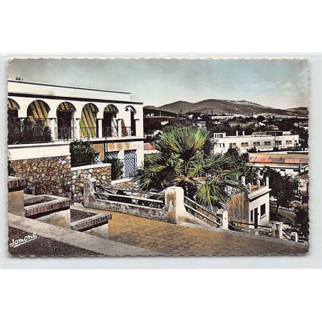 Rare collectable postcards of ALGERIA Algérie Belgique België. Vintage Postcards of ALGERIA Algérie Belgique België