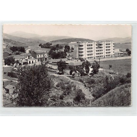 Rare collectable postcards of ALGERIA Algérie Belgique België. Vintage Postcards of ALGERIA Algérie Belgique België