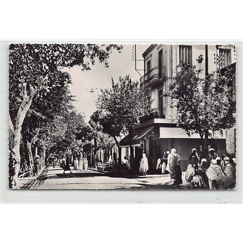 Rare collectable postcards of ALGERIA Algérie Belgique België. Vintage Postcards of ALGERIA Algérie Belgique België