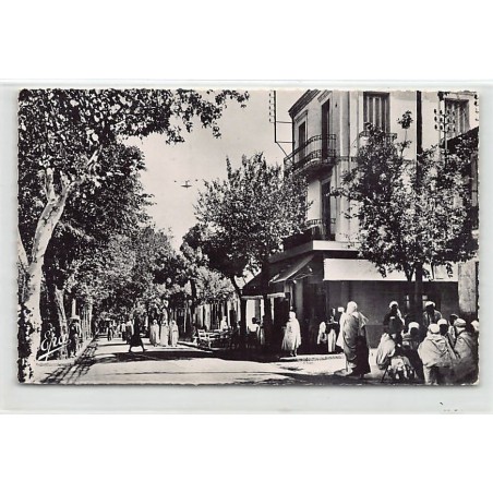 Rare collectable postcards of ALGERIA Algérie Belgique België. Vintage Postcards of ALGERIA Algérie Belgique België