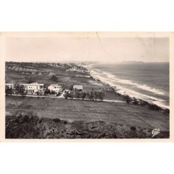 Rare collectable postcards of ALGERIA Algérie Belgique België. Vintage Postcards of ALGERIA Algérie Belgique België