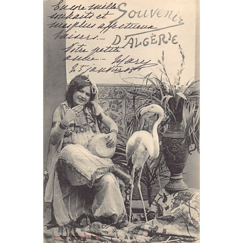 Rare collectable postcards of ALGERIA Algérie Belgique België. Vintage Postcards of ALGERIA Algérie Belgique België