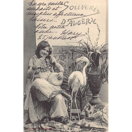 Rare collectable postcards of ALGERIA Algérie Belgique België. Vintage Postcards of ALGERIA Algérie Belgique België