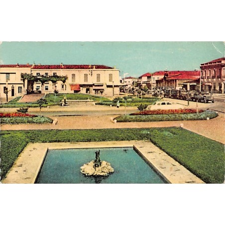 Rare collectable postcards of ALGERIA Algérie Belgique België. Vintage Postcards of ALGERIA Algérie Belgique België