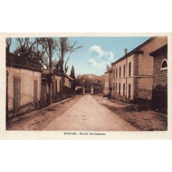 Rare collectable postcards of ALGERIA Algérie Belgique België. Vintage Postcards of ALGERIA Algérie Belgique België