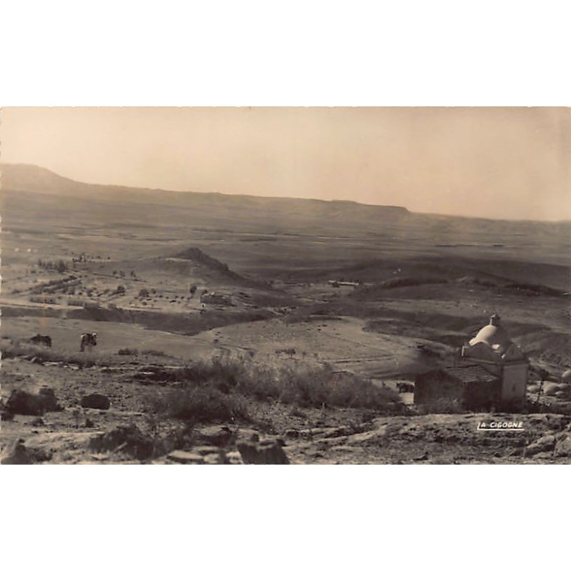 Rare collectable postcards of ALGERIA Algérie Belgique België. Vintage Postcards of ALGERIA Algérie Belgique België