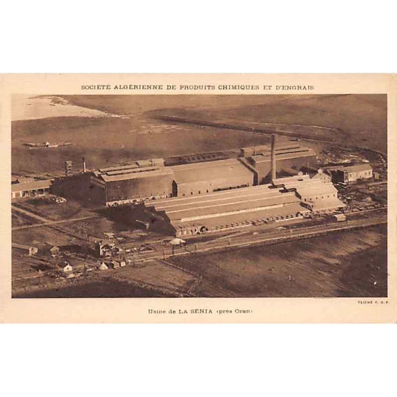 Rare collectable postcards of ALGERIA Algérie Belgique België. Vintage Postcards of ALGERIA Algérie Belgique België