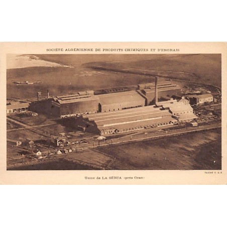 Rare collectable postcards of ALGERIA Algérie Belgique België. Vintage Postcards of ALGERIA Algérie Belgique België