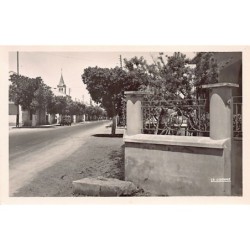 Rare collectable postcards of ALGERIA Algérie Belgique België. Vintage Postcards of ALGERIA Algérie Belgique België