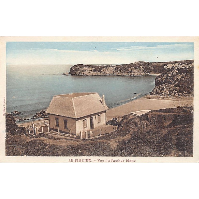 Rare collectable postcards of ALGERIA Algérie Belgique België. Vintage Postcards of ALGERIA Algérie Belgique België