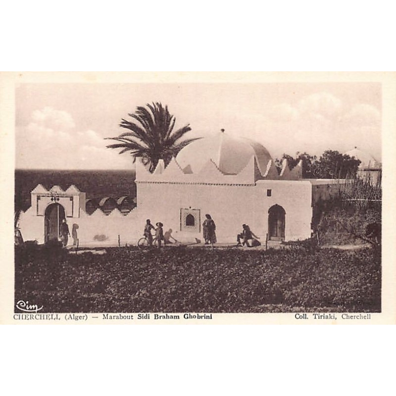 Rare collectable postcards of ALGERIA Algérie Belgique België. Vintage Postcards of ALGERIA Algérie Belgique België