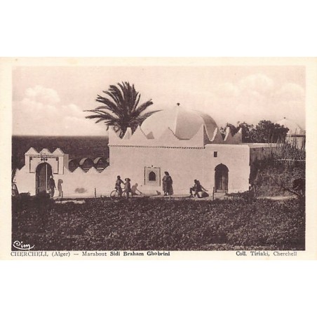 Rare collectable postcards of ALGERIA Algérie Belgique België. Vintage Postcards of ALGERIA Algérie Belgique België