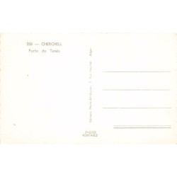 Rare collectable postcards of ALGERIA Algérie Belgique België. Vintage Postcards of ALGERIA Algérie Belgique België