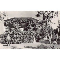 Rare collectable postcards of ALGERIA Algérie Belgique België. Vintage Postcards of ALGERIA Algérie Belgique België