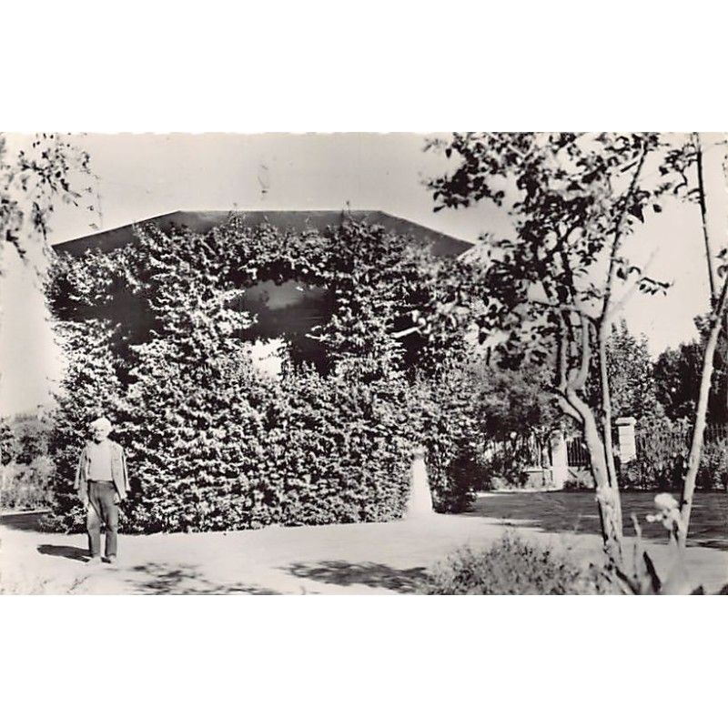 Rare collectable postcards of ALGERIA Algérie Belgique België. Vintage Postcards of ALGERIA Algérie Belgique België