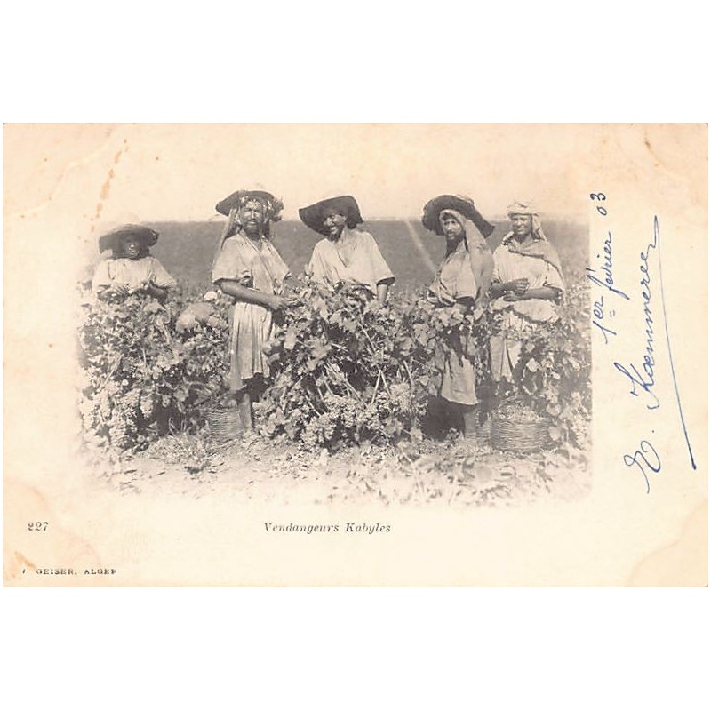 Rare collectable postcards of ALGERIA Algérie Belgique België. Vintage Postcards of ALGERIA Algérie Belgique België