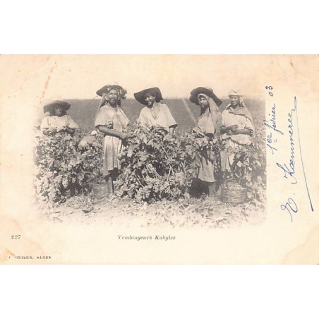 Rare collectable postcards of ALGERIA Algérie Belgique België. Vintage Postcards of ALGERIA Algérie Belgique België